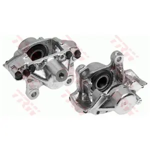 Remklauw BHN109E TRW pas cher