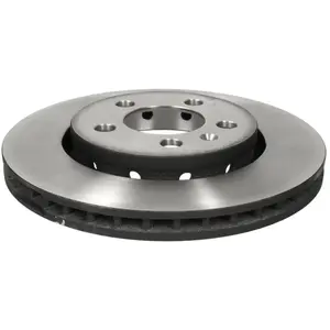 Remschijf achter DF4065 TRW pas cher
