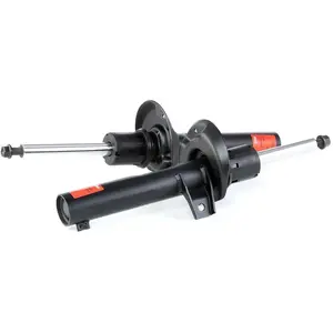 Schokdemper JGM1032T TRW pas cher