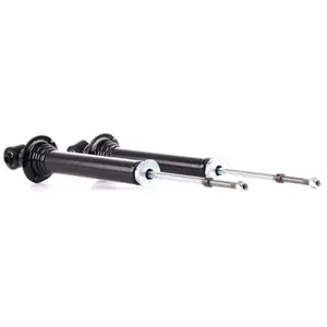 Schokdemper JGS1008T TRW pas cher
