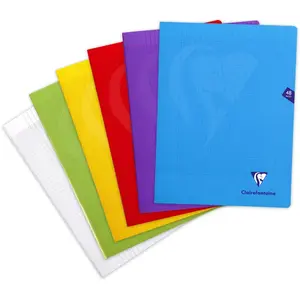 Cahier de 96 pages Seyès Clairefontaine Mimesys 24 x 32 cm Bleu pas cher
