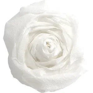 Comparateur de prix : Maildor - Papier Crepon Superieur 250x50 Bleu Clair