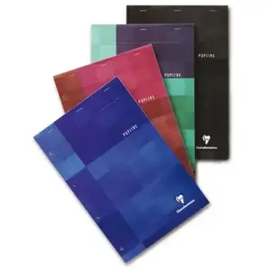 Clairefontaine Bloc Pupitre Agrafé 21x29,7cm 160 pages Q.5x5 pas cher