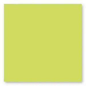 Clairefontaine Pack de 25 cartes Pollen 135 x 135 mm Vert BourgeonVendu parfnac-be
