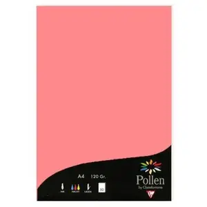 ClaireFontaine Clairefontaine Etui De 50 Feuilles 210x297 Litchi 120g