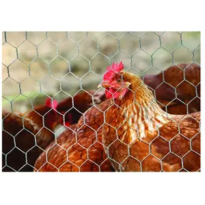 Comparateur de prix : Grillage pour animaux triple torsion gris - H.1.5 x L.5 m - maille H.13 x l.13 mm