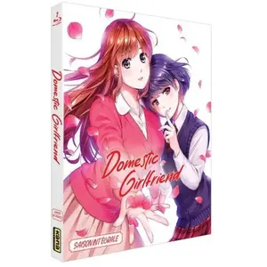 Comparateur de prix : Kana Home Vidéo Domestic Girlfriend : Love X Dilemma Saison 1 Blu-ray