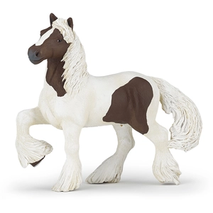 PAPO - 51513 - Cob irlandais bai pas cher