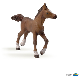 Comparateur de prix : papo Chevaux, Poulains Et Poneys Poulain Anglo-Arabe