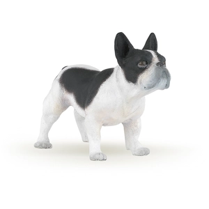 PAPO - Bouledogue français noir et blanc pas cher