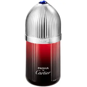 Cartier Pasha de Cartier Édition Noire Sport - 100 ml - eau de toilette spray - herenparfum pas cher