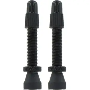 Var Soupapes Alloy Presta 2 Unités pas cher