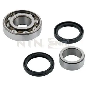 Wiellager R17713 SNR pas cher