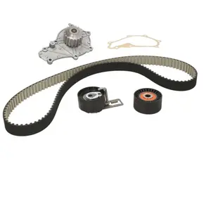SNR Waterpomp + distributieriem set pas cher