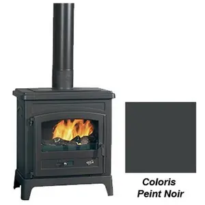 Poêle à bois - GODIN - Fonteval 2 389154 - 9 kW - Fonte anthracite - Bûches 50 cm pas cher