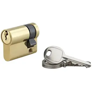 Cylindre européen - EDF-R 30X60 - double entrée - laiton poli - 6 goupilles anti-perçage pas cher