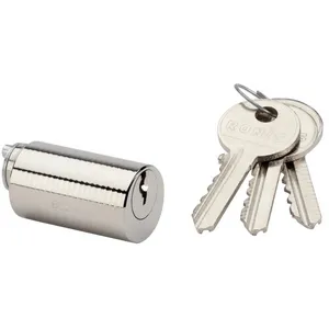 Cylindre rond GUIDOTTI 1306 pour serrure à bandeau PL2 - RONIS - 140603 pas cher