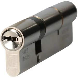 Cylindre à double entrée HQ2 pour SESAME 30 x 60 mm A2P* DIN droite HERACLES HQ2-3060SES.DT pas cher