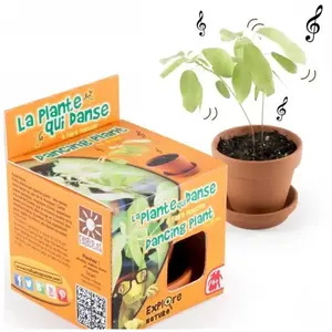 RADIS ET CAPUCINE Graines de la plante qui danse, desmodium gyrans  0,000000 Fleur pas cher