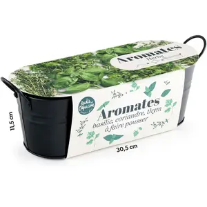 Jardinière zinc noir 30 cm - Aromates pas cher