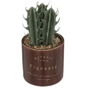 Plante artificielle Bota marron H10cm Atmosphera Créateur D'intérieurVendu parcdiscount