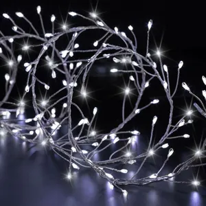 Fééric Lights And Christmas - Boa lumineux extérieur 2.5m 200 led blan... pas cher