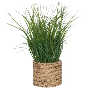 Plante artificielle en pot en jacinthe d'eau H70cm Atmosphera Créateur D'intérieur pas cher