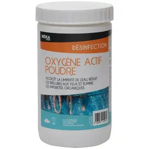Oxygène Actif Poudre Intex pas cher