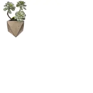 Atmosphera - Plante grasse géométrique en pot H30 L, 15 x l, 15 x H, 30 cm Vert pas cher