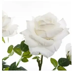 Atmosphera Plante Artificielle en Pot de Rose KRZEW, 74 cm, Rouge, Cou...Vendu pargalaxus