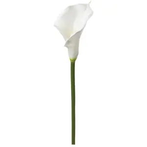 Tige d arum artificiel blanc H75cm Atmosphera Créateur D'intérieurVendu parcdiscount