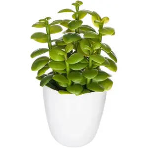 Plante succulente & cactus H18 - Modèle 2 - Atmosphera createur dinter...