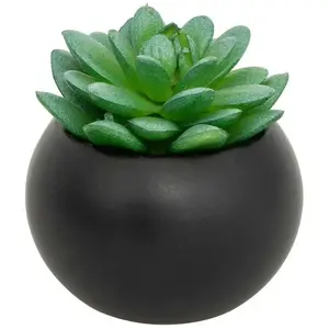 Plante grasse en pot H13 Atmosphera Créateur D'intérieurVendu parcdiscount