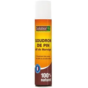 SOLABIOL Groudron de Pin dit de NorvÃ¨ge - 200 mL