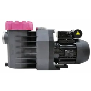 Pompe de filtration Eurostar II - SPECK PUMPEN - 0.65 kW - 9m3/h - Gri...