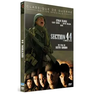Sidonis Section 44 DVD pas cher