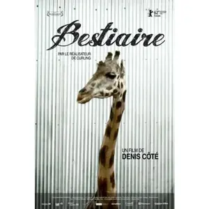 Casse Liasse Record Z Bestiaire DVD pas cher
