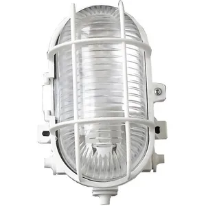 HUBLOT - Ovale - 60 W à vis - IP44 - CLASS2 pas cher