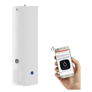 THERMOR Chauffe-eau DURALIS CONNECT Stable - DURALIS CONNECT vertical stable 300 L - Classe énergétique : C - 292049 pas cher