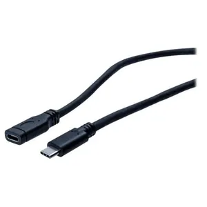 DEXLAN Rallonge USB 3.1 Gen1 Type C / Type C - 1 mètre pas cher