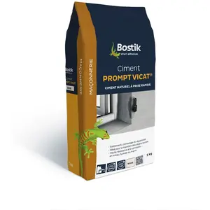 Ciment prompt - Vicat - BOSTIK - 5kg - Intérieur - Blanc pas cher