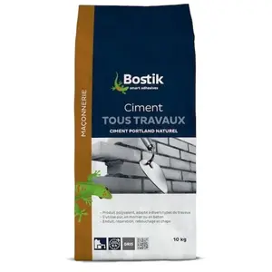 Bostik Ciment gris tous travaux 5kg pas cher