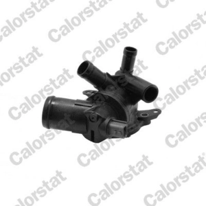 VERNET S.A.S. Thermostat d'eau pour RENAULT: Scénic, Mégane (Ref: TE7366.95J)