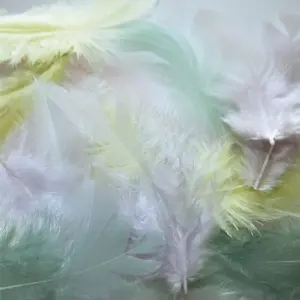 Plumes de coq assortiment pastel 20 plumes 7cm - graine créative pas cher