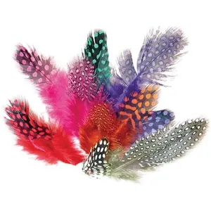Graine Creative on a tous du talent Sachet 10g plumes pintade col. AsstVendu parfnac-be