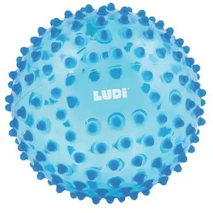 Balle sensorielle LUDI - Diamètre 20 cm - Bleu - Pour bébé dès 6 mois pas cher