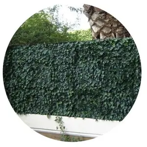 Comparateur de prix : Plaques Clipsables De Feuillage Artificiel 3m² (Lot De 12) Lierre