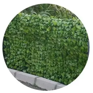 Haie végétale artificielle aspect feuilles de rosier JET7GARDEN - Vert...Vendu parcdiscount