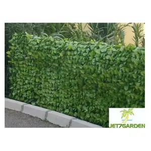 JET7GARDEN Haie artificielle feuillage rosier Variante Ht.1.0 x Lg.3 m pas cher