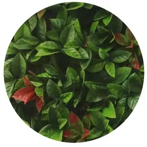 JET7GARDEN Plaques Clipsables De Feuillage Artificiel 3m? (Lot De 12) Red Robin pas cher